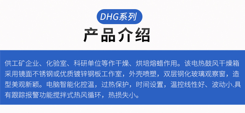 立式鼓风干燥箱