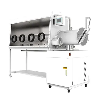 净化手套箱-C款